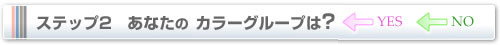 ステップ2 あなたのカラーグループは?